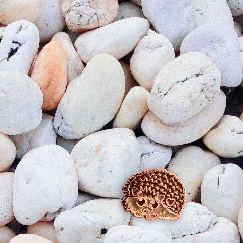 Hedgehog Enamel Pin 🦔 Hedgehogs 🦔 Brooch